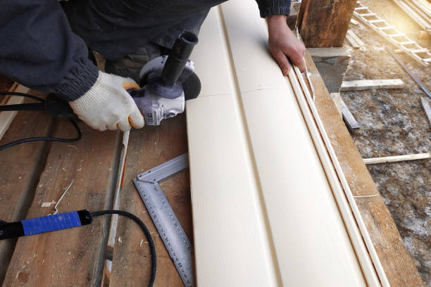 Best Fiber Cement Siding Installation  in Daytona Beach, FL